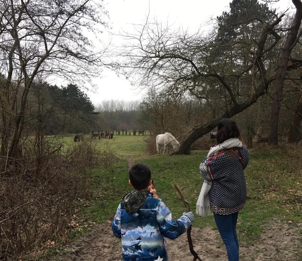 Oostvoornsch Gastenverblijf Oostvoorne Exteriér fotografie