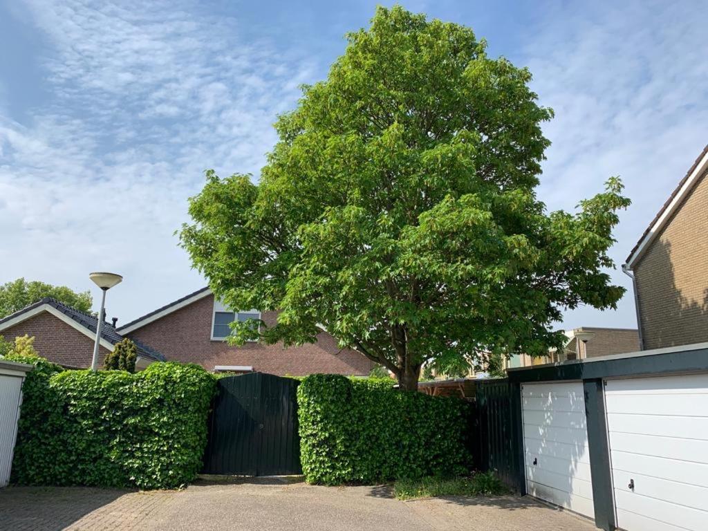 Oostvoornsch Gastenverblijf Oostvoorne Exteriér fotografie