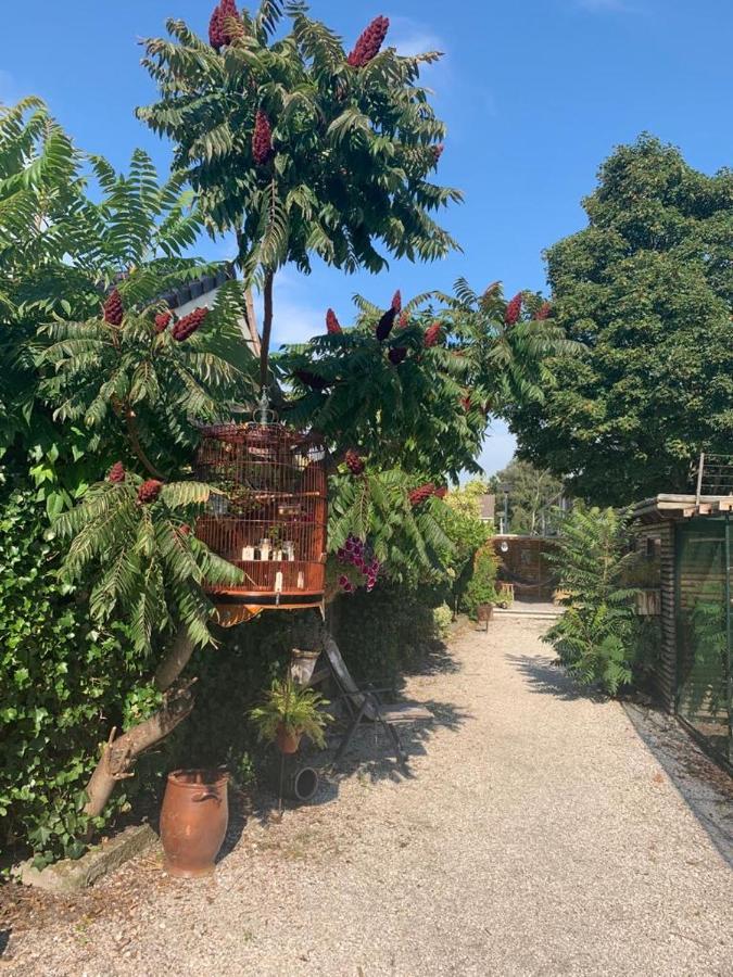 Oostvoornsch Gastenverblijf Oostvoorne Exteriér fotografie